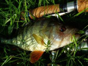 375619_561499590567707_217696755_n