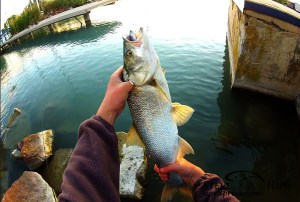 Névtelen1 másolata