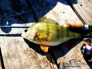 1239487_593689944027379_1874604320_n