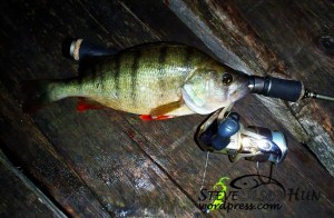 1239980_621315217919477_1593092163_n