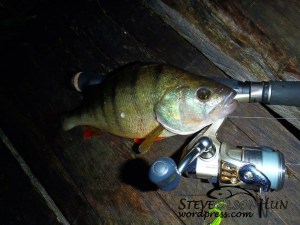 1378242_621315291252803_983782187_n