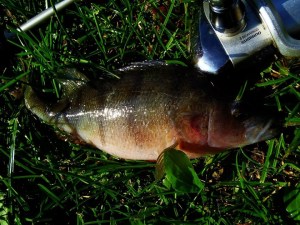 537235_620889144628751_1698364704_n