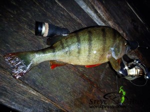 67010_621315447919454_1919955524_n