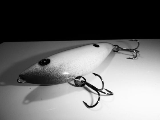 16113386_1380769745307350_4505684307804570689_o12