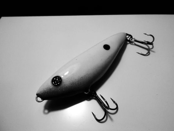 16143823_1380769761974015_1792688400566898058_o12