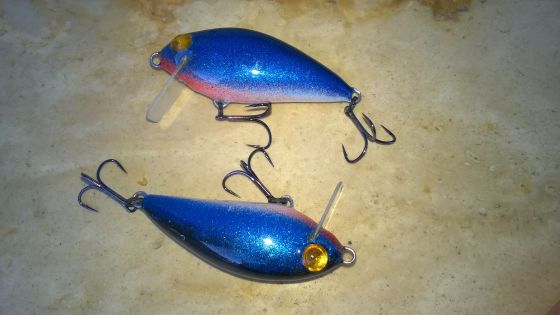 wp_20170108_14_49_08_pro