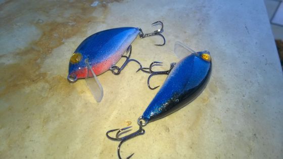 wp_20170108_14_49_18_pro