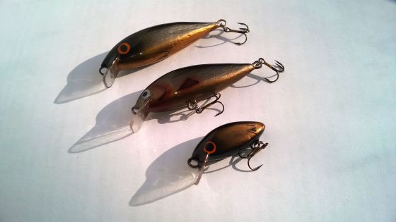 wp_20170120_11_49_08_pro