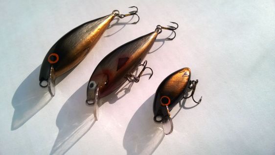 wp_20170120_11_49_12_pro