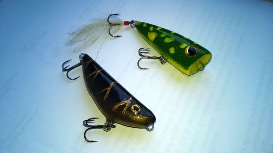 wp_20170207_10_41_27_pro