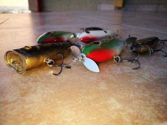 19149335_1533081796742810_6431091541649745361_n